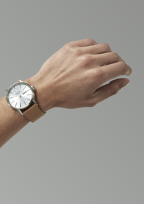 Sentry Leather All Silver / Tan View 6