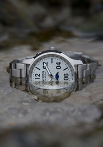 Ascender All Silver View 7