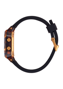 Siren Tortoise View 2