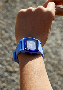 Rival View 6