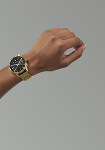 Sentry Solar Stainless Steel All Gold / Black View 6