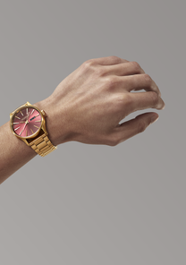 Sentry SS Oxblood Sunray / Gold View 6